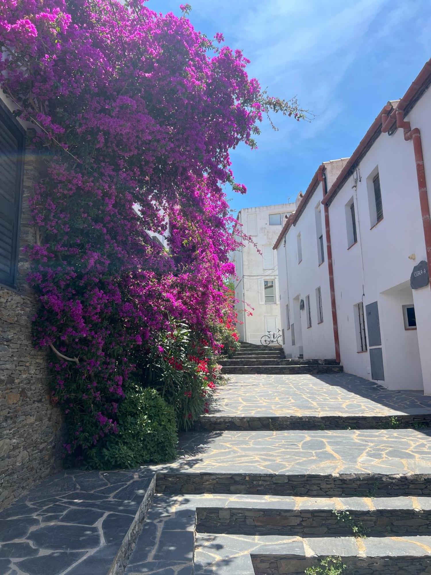 Canvas Apartments&Lofts Cadaqués Dış mekan fotoğraf