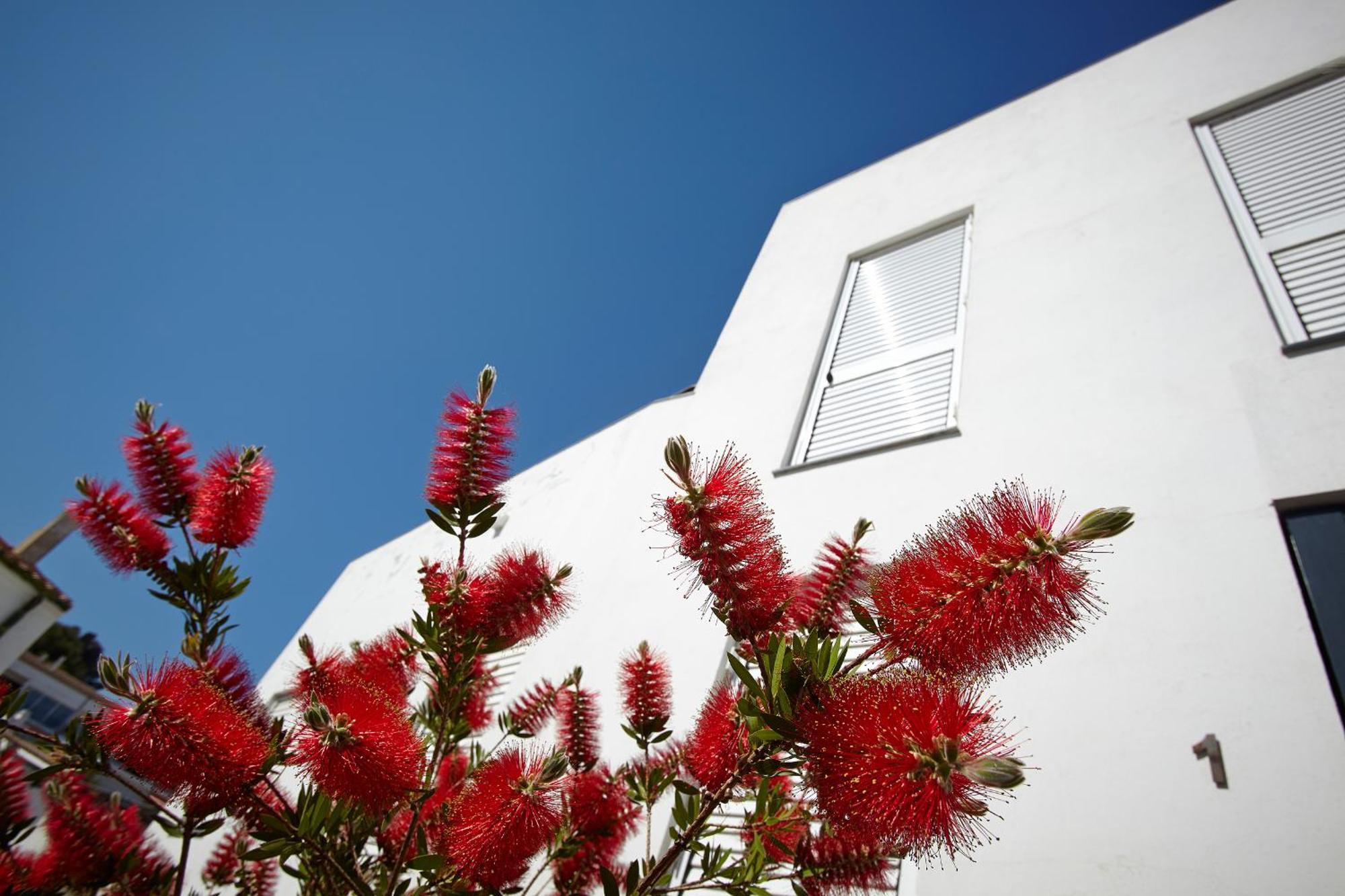 Canvas Apartments&Lofts Cadaqués Dış mekan fotoğraf